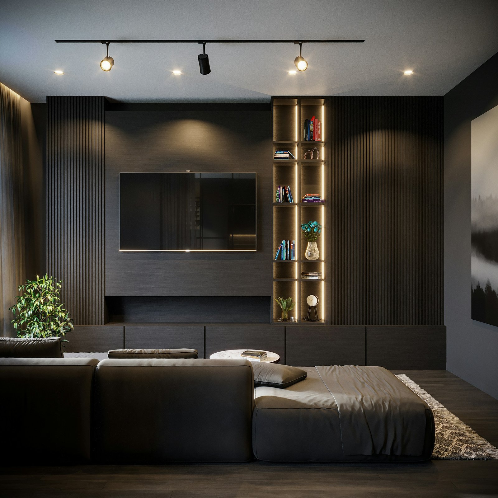 TV Premium